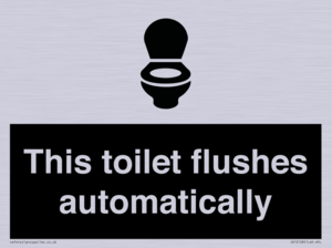 This toilet flushes automatically